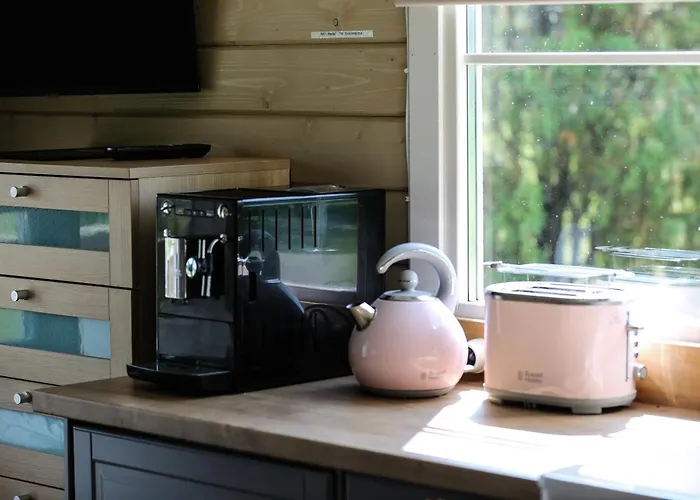 Stiilne Majake Saunaga *